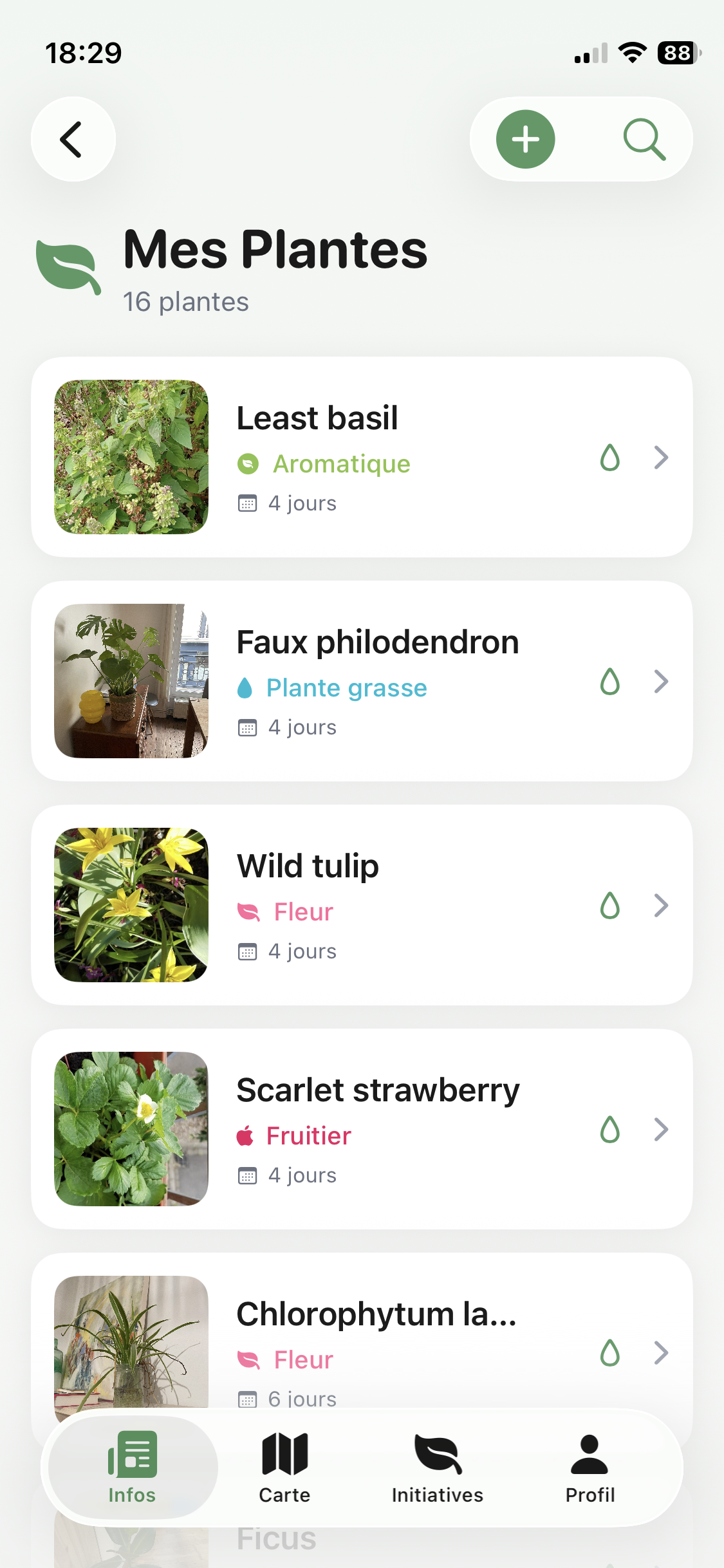 Ma Ville Verte Et Moi - Screenshot 3